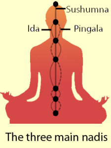features-ida-pingala